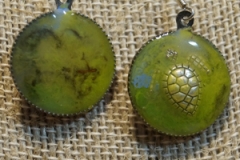 turtle_diary