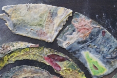Detail from Earth Skin